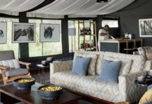 Best Luxury Safari Lodges in Ngorongoro, Tanzania Luxury Tanzania Safari in Ngorongoro