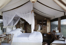 Rwanda and Serengeti: Ultimate East African Safari in 2022/23