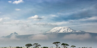 Unique Safari & Game Parks to Visit in Tanzania in 2022